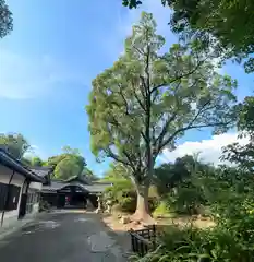 植槻八幡神社(奈良県)