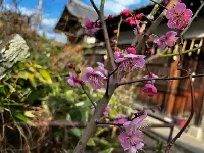 總神社天満宮（上賀茂神社境外社）(京都府)