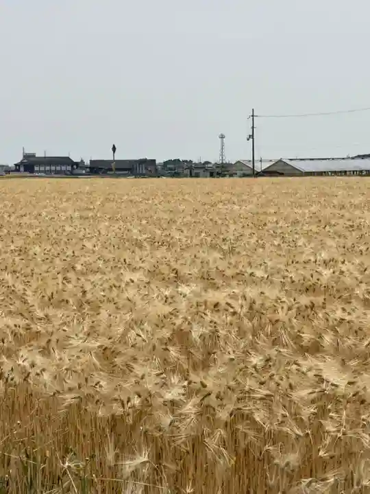 高繁大明神(稲荷)の周辺