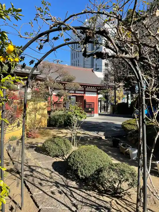 成願寺(神奈川県)