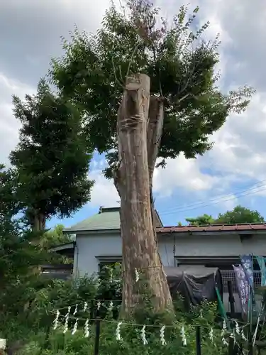 春日神社(神奈川県)