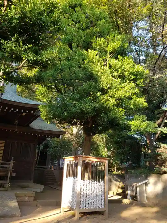 八幡神社の自然
