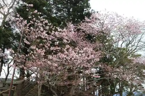 諏訪神社の自然