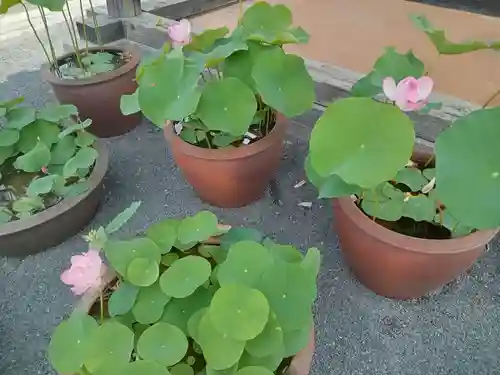 総持寺(大阪府)