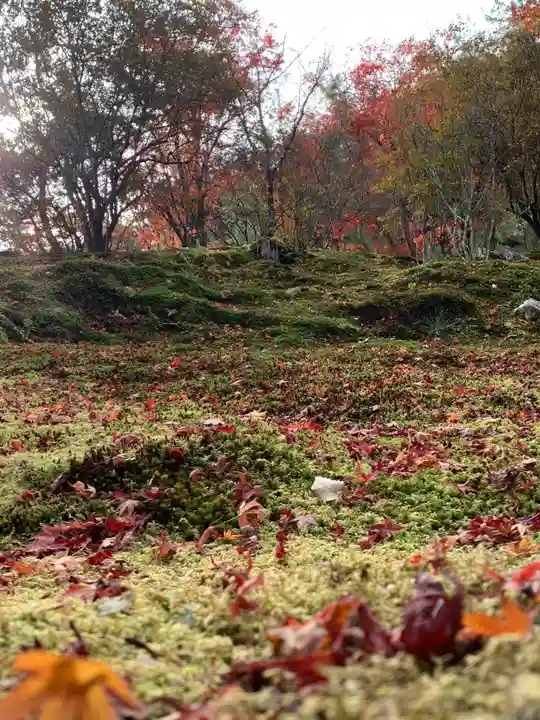 天龍寺(京都府)