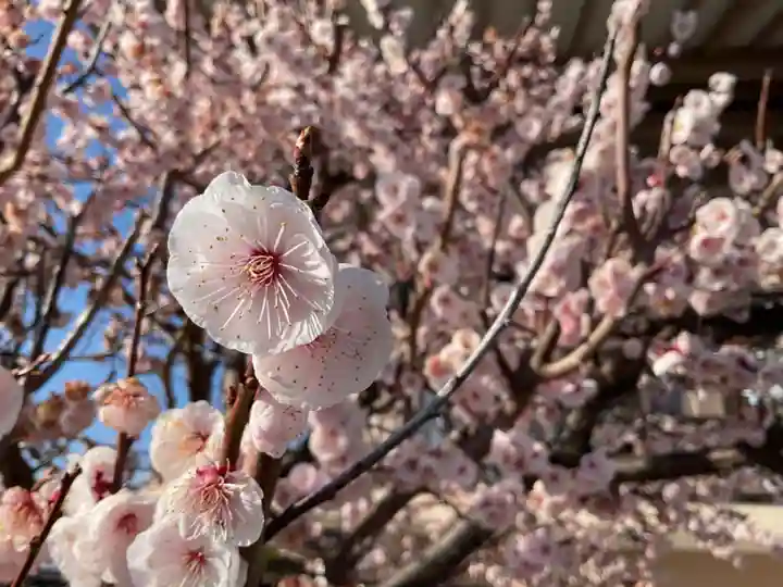 正眼寺(愛知県)