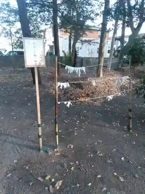 白髭神社のおみくじ