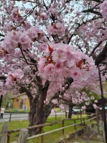 春日神社の御朱印 2026年04月