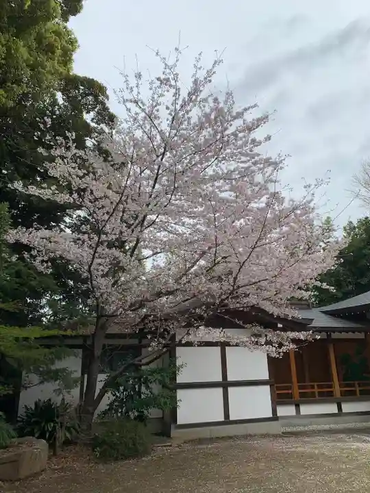 阿佐ヶ谷神明宮(東京都)