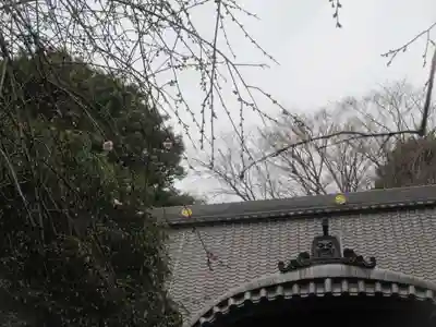鳳生寺(東京都)