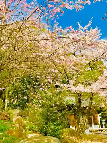 金嶽神社の自然