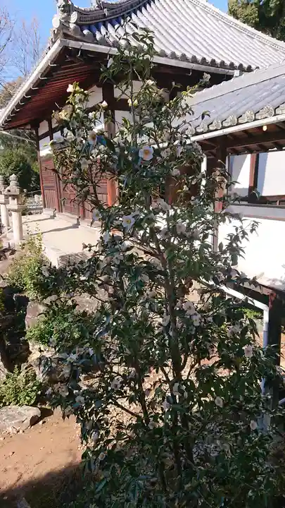 興聖寺(興聖寶林禅寺)(京都府)