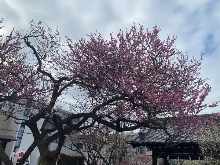 山田天満宮(愛知県)