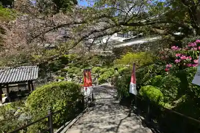 岡寺(龍蓋寺)(奈良県)