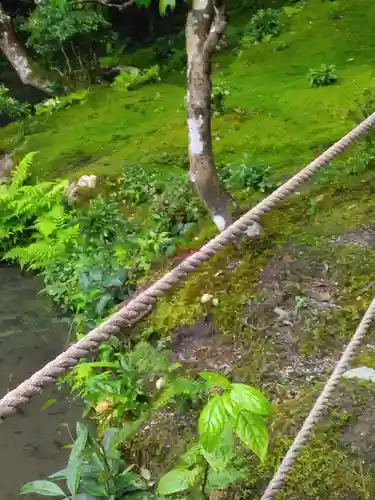 南禅院(京都府)