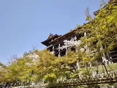 清水寺(京都府)
