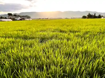 岩崎神社(長野県)