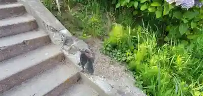 富主姫神社(宮城県)