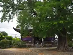 地蔵寺の本殿