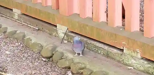 谷保天満宮(東京都)