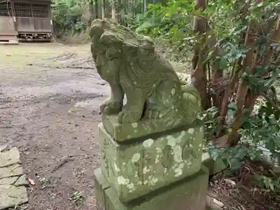 八坂神社の狛犬