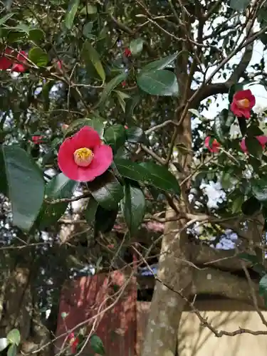 鹿島神社の自然