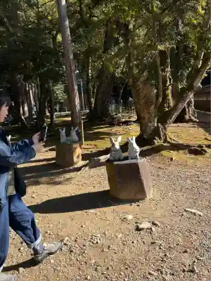 出雲大社(島根県)