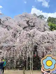 小川諏訪神社の自然