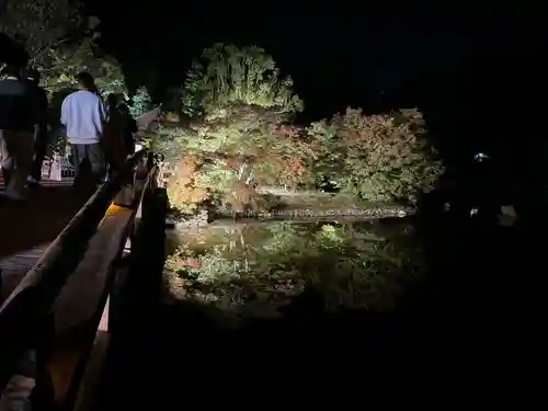 白水阿弥陀堂の庭園