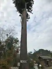 鶴峯八幡宮(千葉県)