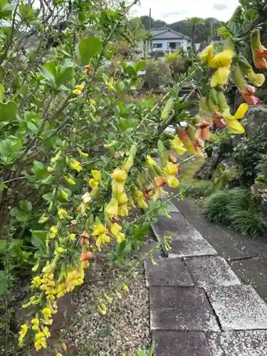 恵利寺の庭園