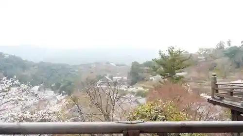 長谷寺(奈良県)