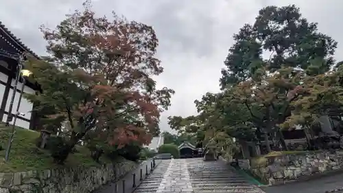 くろ谷 金戒光明寺(京都府)