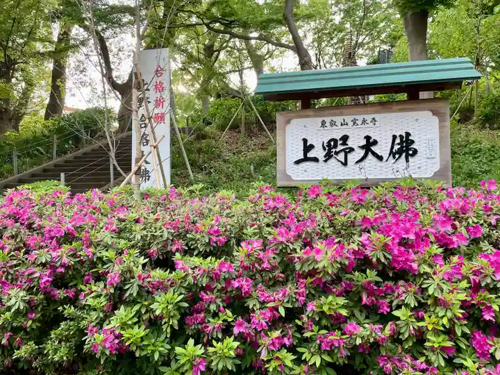 上野大佛(東京都)