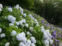 天台宗 長窪山 正覚寺の自然