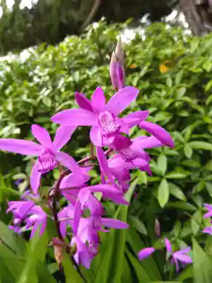 福井神社(福井県)