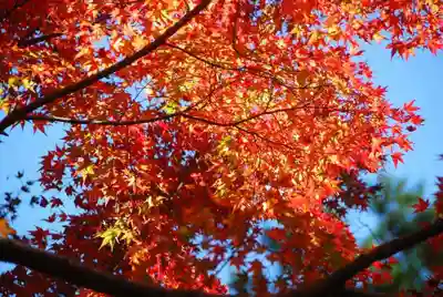 長門湯本豊川稲荷(山口県)
