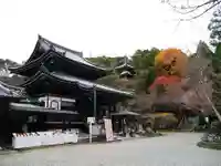 今熊野観音寺の本殿・本堂