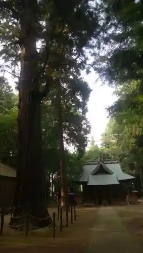 大生神社の建物その他