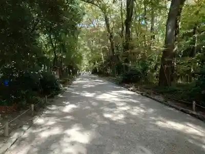 賀茂御祖神社（下鴨神社）(京都府)