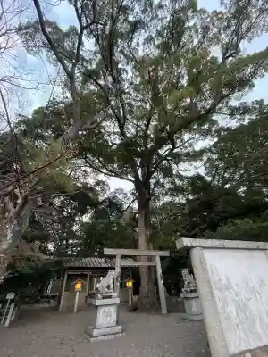 箕曲神社の{uncategorized: "未分類", other: "その他", undefined: "問題あり", building: "その他建物", grave: "お墓", sacred_gate: "鳥居", guardian: "狛犬", statue: "像", buddha: "仏像", history: "歴史", nature: "自然", garden: "庭園", animal: "動物", pagoda: "塔", temizu: "手水舎", mountain_gate: "山門・神門", sanctuary: "本殿・本堂", subordinate: "末社・摂社", art: "芸術", scenery: "景色", jizo: "地蔵", ema: "絵馬", goshuin: "御朱印", omikuji: "おみくじ", items: "授与品その他", amulet: "お守り", goshuincho: "御朱印帳", eats: "食事", festival: "お祭り", votive_dance: "神楽", shichigosan: "七五三参", wedding: "結婚式", experience: "体験その他", initially: "初詣", around: "周辺", anti_infection: "感染症対策"}