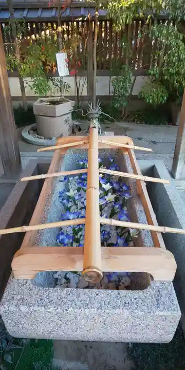 晴明神社の手水舎