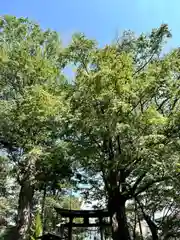 岩崎神社の鳥居