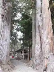八坂神社の自然