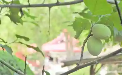金蛇水神社(宮城県)