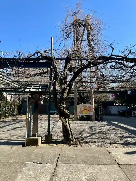 國領神社の{uncategorized: "未分類", other: "その他", undefined: "問題あり", building: "その他建物", grave: "お墓", sacred_gate: "鳥居", guardian: "狛犬", statue: "像", buddha: "仏像", history: "歴史", nature: "自然", garden: "庭園", animal: "動物", pagoda: "塔", temizu: "手水舎", mountain_gate: "山門・神門", sanctuary: "本殿・本堂", subordinate: "末社・摂社", art: "芸術", scenery: "景色", jizo: "地蔵", ema: "絵馬", goshuin: "御朱印", omikuji: "おみくじ", items: "授与品その他", amulet: "お守り", goshuincho: "御朱印帳", eats: "食事", festival: "お祭り", votive_dance: "神楽", shichigosan: "七五三参", wedding: "結婚式", experience: "体験その他", initially: "初詣", around: "周辺", anti_infection: "感染症対策"}