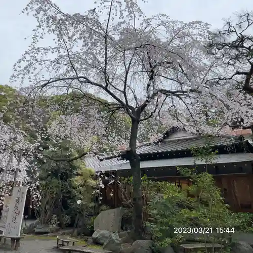 平塚八幡宮(神奈川県)