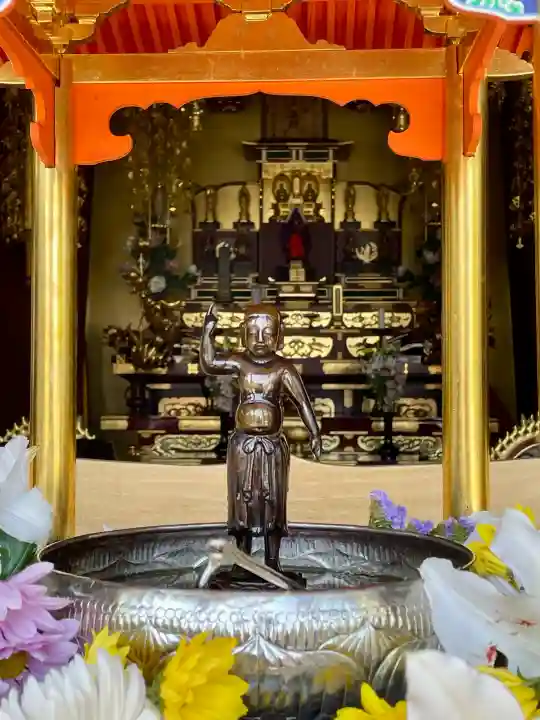 本立寺の{uncategorized: "未分類", other: "その他", undefined: "問題あり", building: "その他建物", grave: "お墓", sacred_gate: "鳥居", guardian: "狛犬", statue: "像", buddha: "仏像", history: "歴史", nature: "自然", garden: "庭園", animal: "動物", pagoda: "塔", temizu: "手水舎", mountain_gate: "山門・神門", sanctuary: "本殿・本堂", subordinate: "末社・摂社", art: "芸術", scenery: "景色", jizo: "地蔵", ema: "絵馬", goshuin: "御朱印", omikuji: "おみくじ", items: "授与品その他", amulet: "お守り", goshuincho: "御朱印帳", eats: "食事", festival: "お祭り", votive_dance: "神楽", shichigosan: "七五三参", wedding: "結婚式", experience: "体験その他", initially: "初詣", around: "周辺", anti_infection: "感染症対策"}