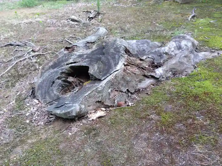 春日神社(福井県)