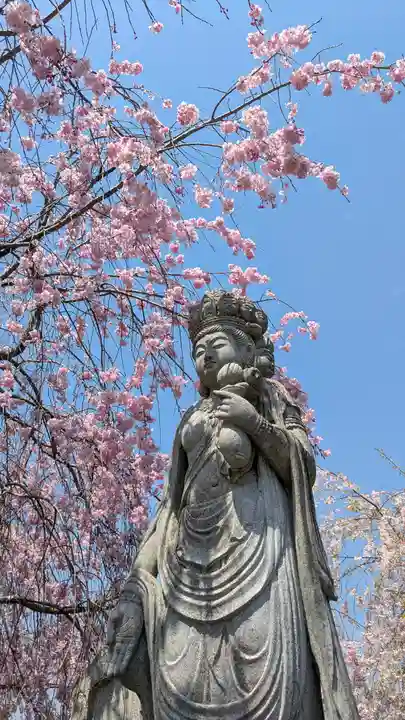 圓光寺(京都府)